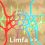 LIMFA razstruplja medcelični prostor – limfni zastoj zakisa in ustvarja LIMFEDEM in okvaro limfnih žil